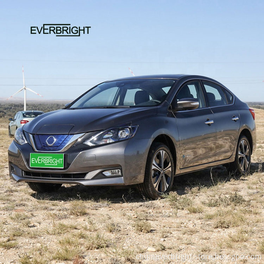 High Speed Electric Car elektrisch voertuig met airconditioner voor volwassenen